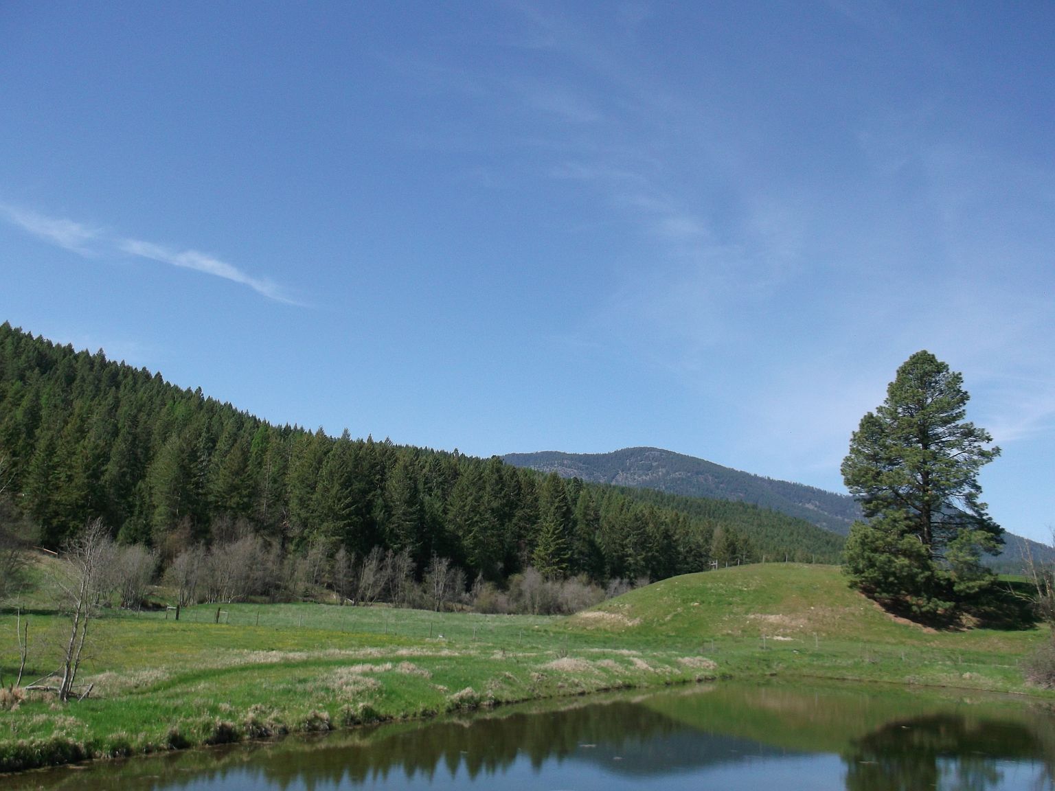 1831 Marble Valley Basin Rd, Addy, WA 99101 Zillow