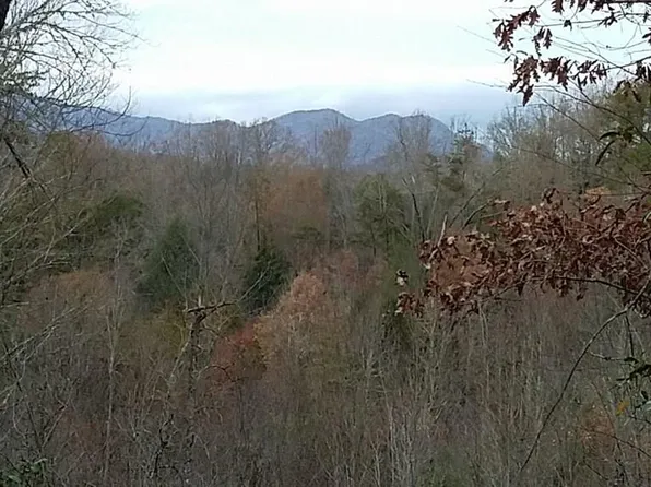 533 Laid Ln, Whittier, NC 28789