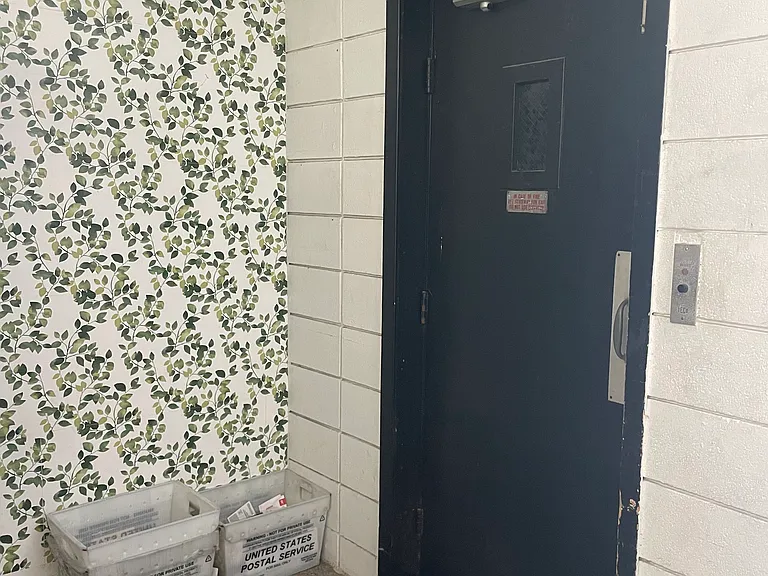 339 Lester Ave #4 — Photo 13