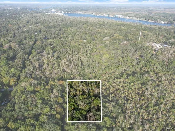 10235 W Fayette St, Homosassa, FL 34448