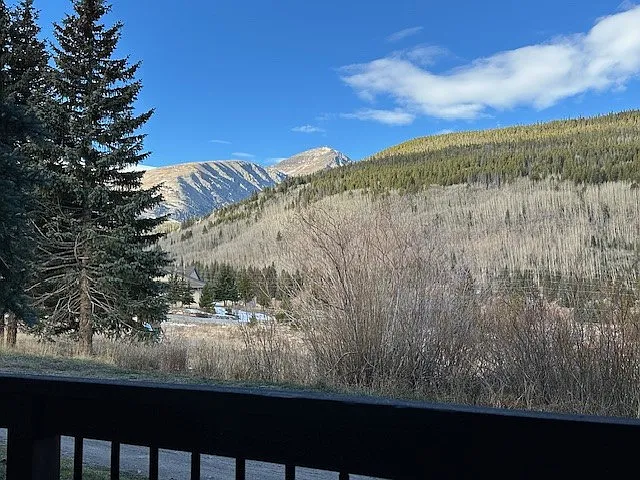 View from Deck - 107 Peaks View Ct #313