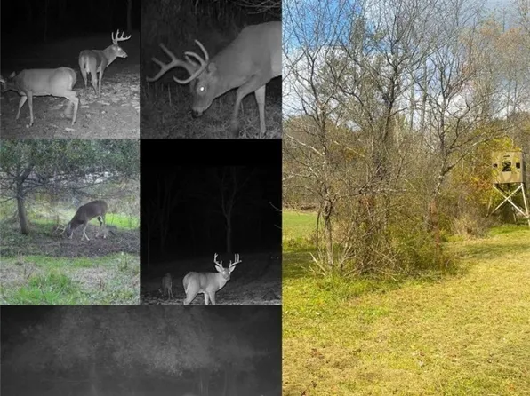 Toker Rd, Hopedale, OH 43976