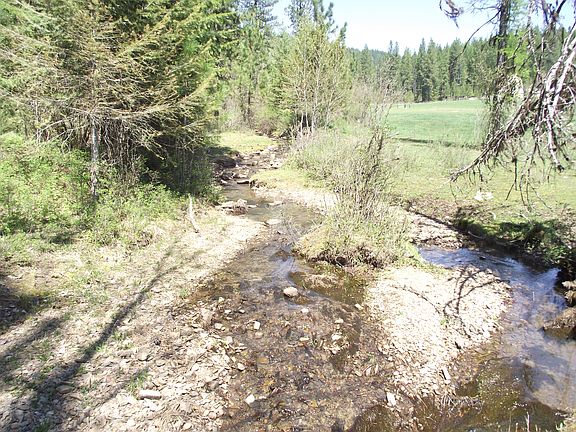 5th image of Nka Bear Springs Road