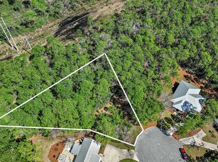 13 Monarch Dr, Santa Rosa Beach, FL 32459