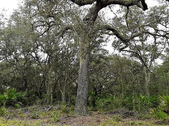 3rd image of 971 Old Gainesville Hwy