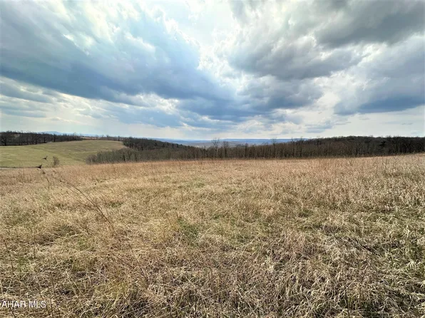 Miller Rd, Alum Bank, PA 15521