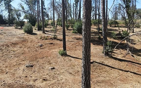 5th image of 5389 Breezewood Dr