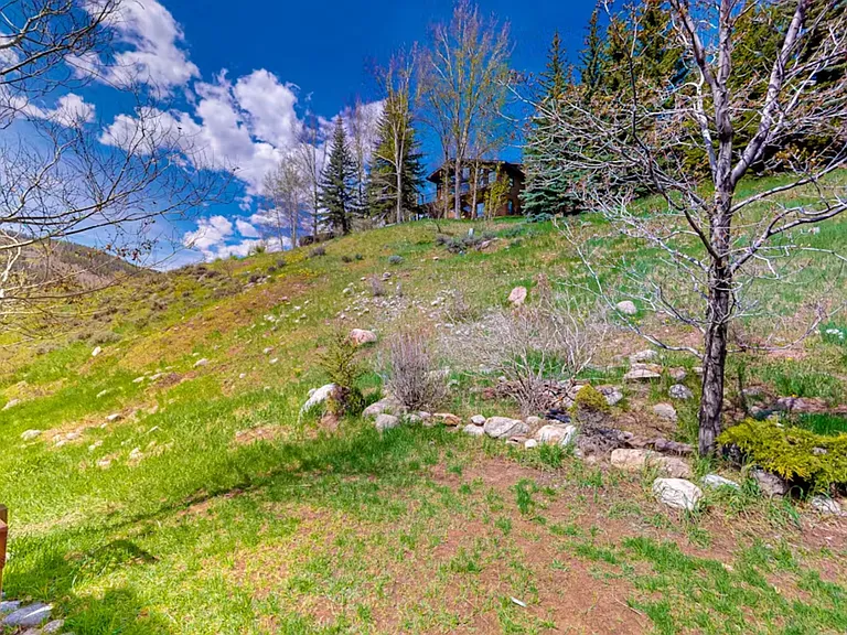 Backyard View