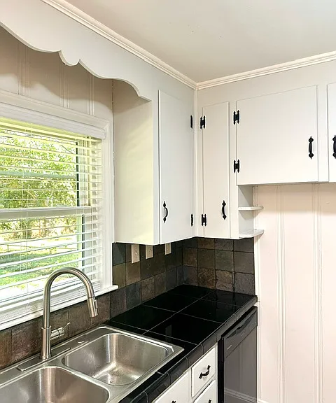 kitchen cabinets looking out to backyard