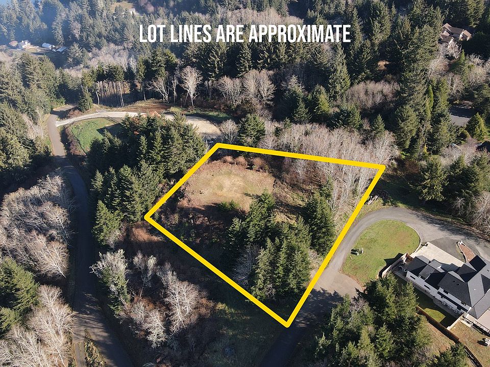 1st image of Fiddleback