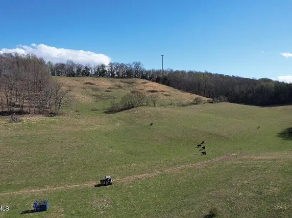 115 Tyne Gray Rd, Afton, TN 37616