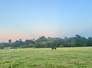 75 Spring Branch Rd, Montgomery, TX 77316