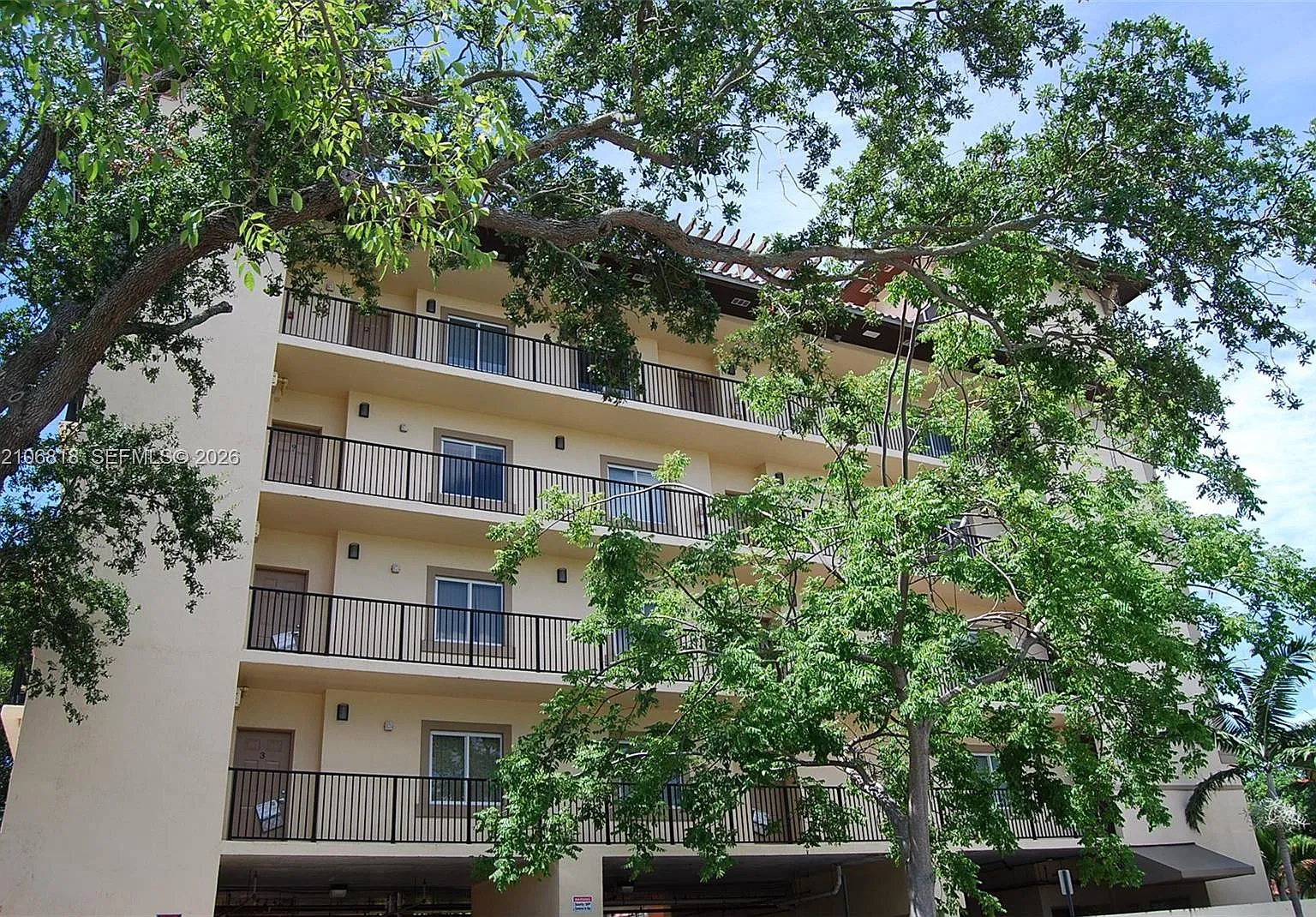 11 54 41 Avacado Park — Photo 1