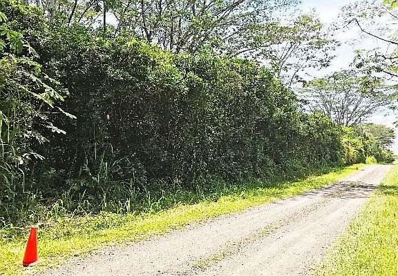 3rd image of 18th Ave