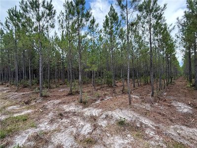 0 Corbitt Rd, Manor, GA, 31550