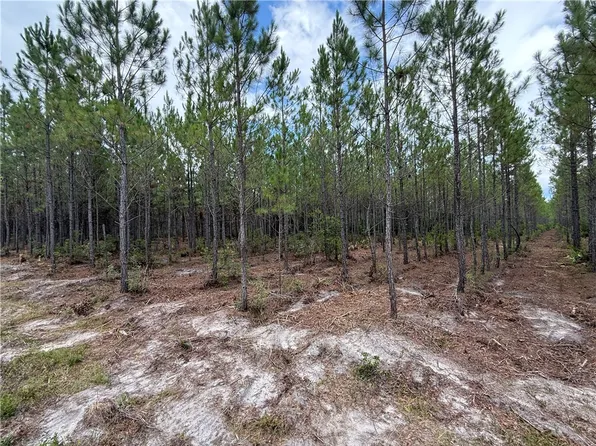 0 Corbitt Rd, Manor, GA 31550