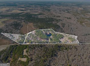 22701 S High Way #129, Cobbtown, GA 30420