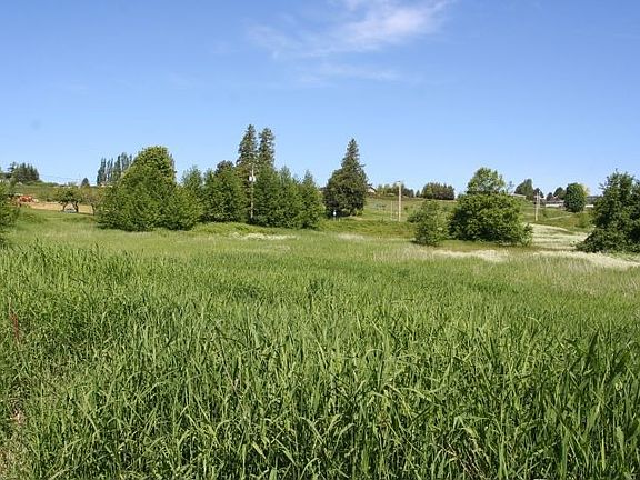 View of the property standing on the southeast corner at Mountain View Rd