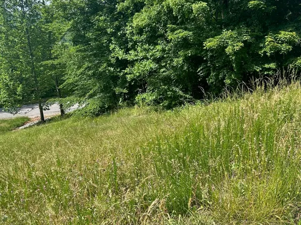214 Suncrest Cv, La Follette, TN 37766