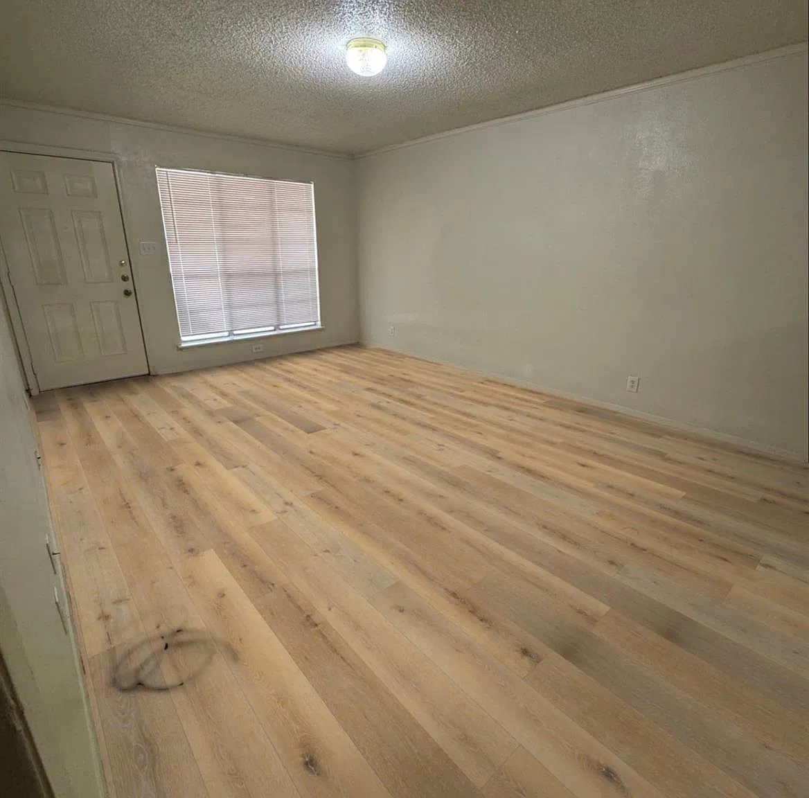 2 bed, 1.0 bath, 1895 sqft, $1,300 — Photo 3