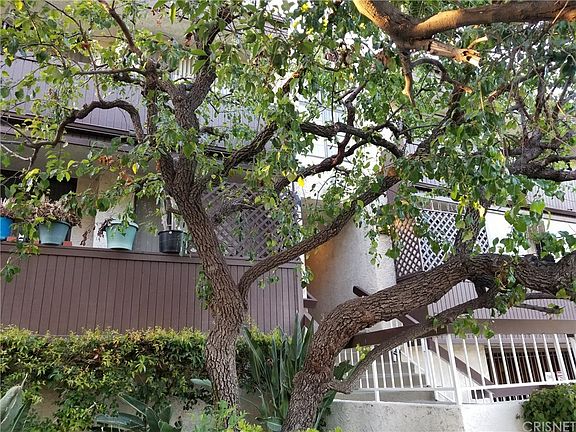 3rd image of 14426 Magnolia Blvd #115