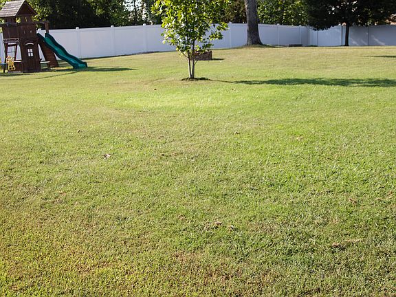 Great backyard!