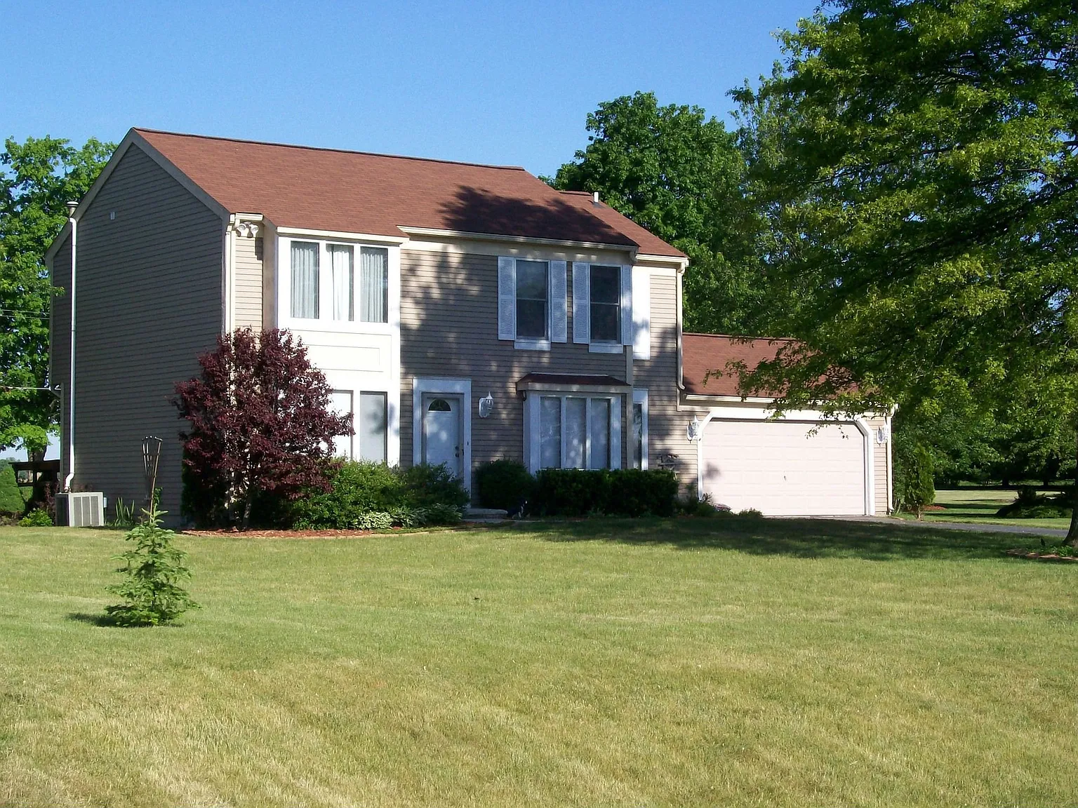 6850 Mullberry Ct photo 1