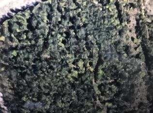 1203 Belo Rd, Lexington, SC 29072