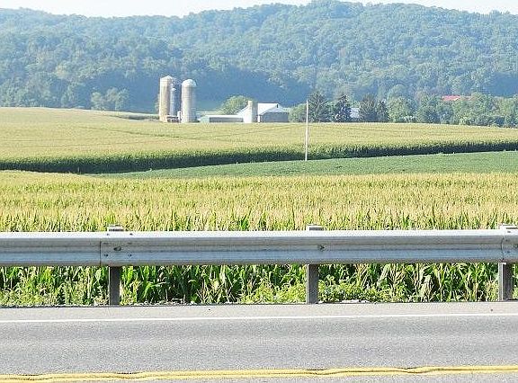 View from Front of House