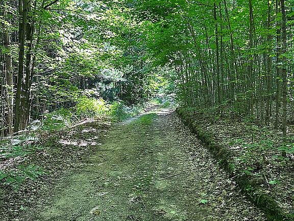 5th image of 23 Mile Rd