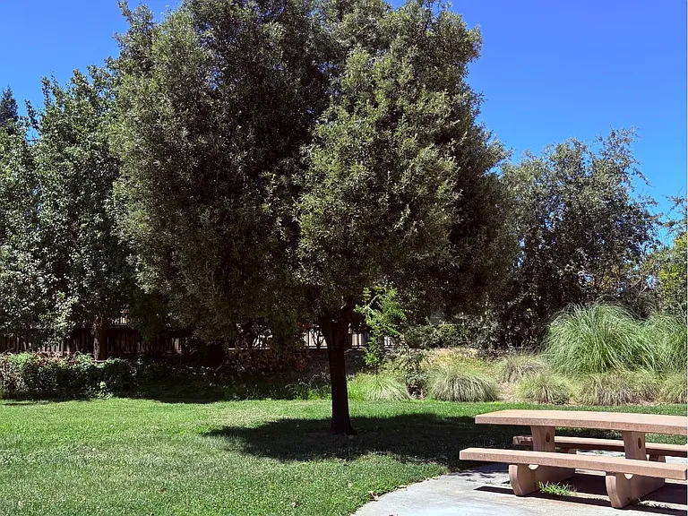 Neighborhood park with shaded picnic and BBQ area
