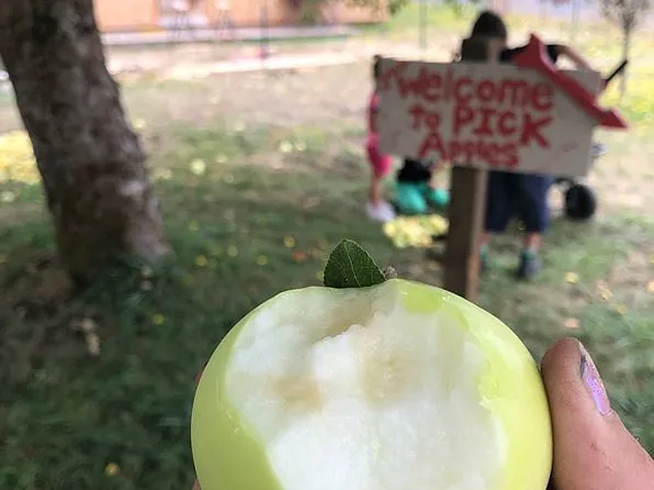 18120 Empire St SW, Rochester, WA 98579