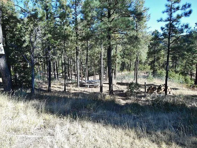 2900 Arizona Ave — Photo 1