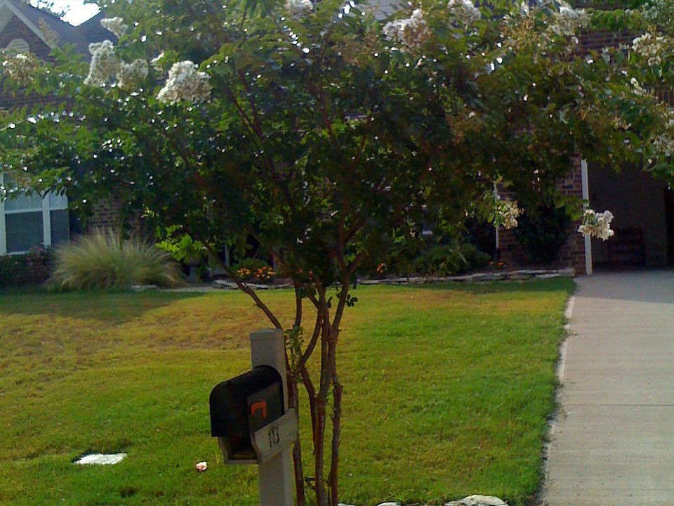 Nice Tree