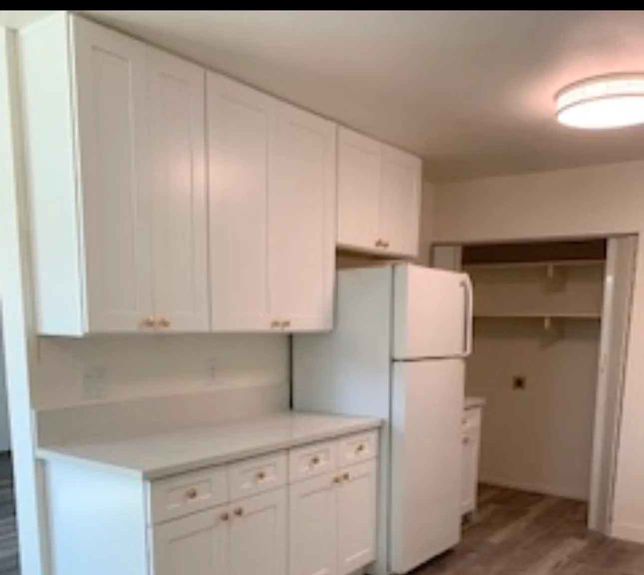 3 bed, 1200 sqft, $3,400 — Photo 4