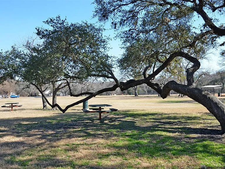 16304 Kicking Bird Dr — Photo 26