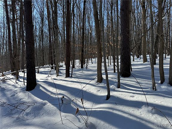 4th image of 10934 Harlow Rd