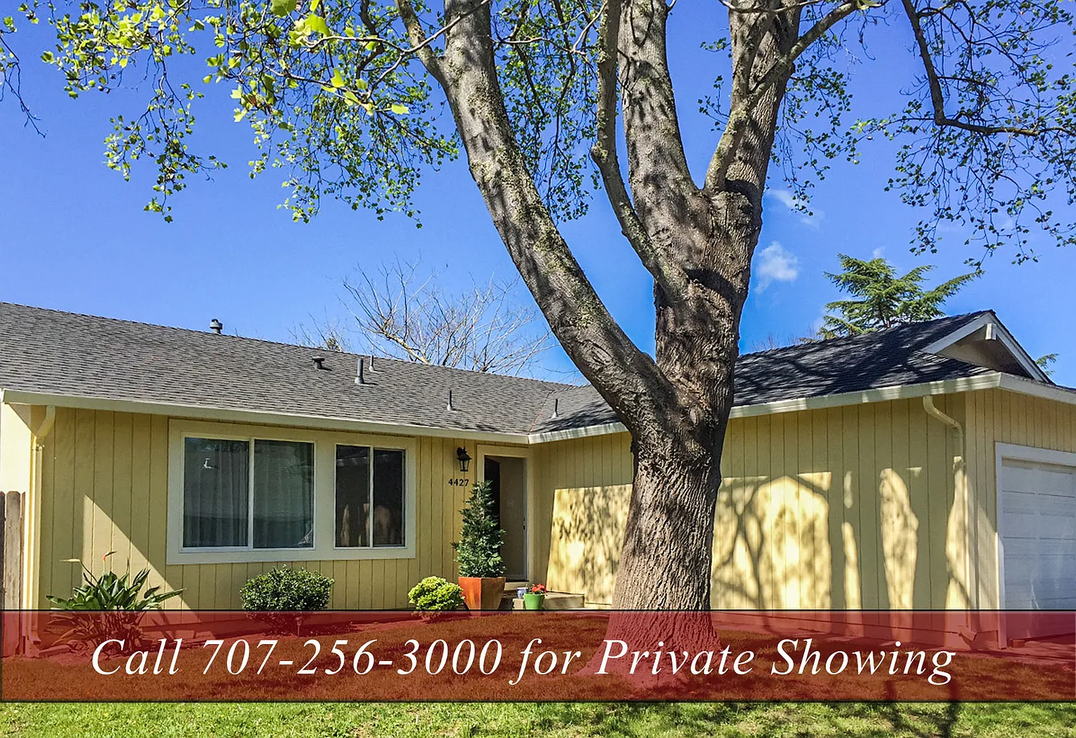 4427 Meadowlark Dr photo 1