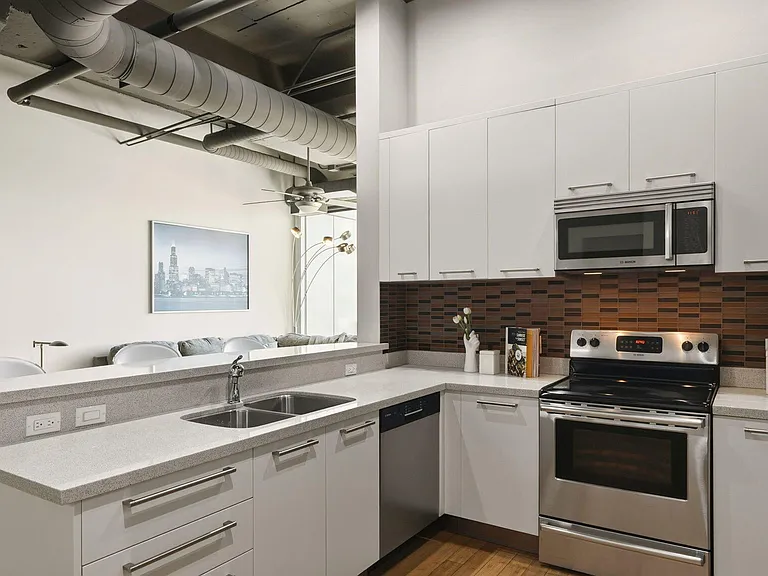 1 E Lexington Ave #1101 — Photo 7