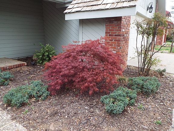 4th image of 5503 S Elmira Ave
