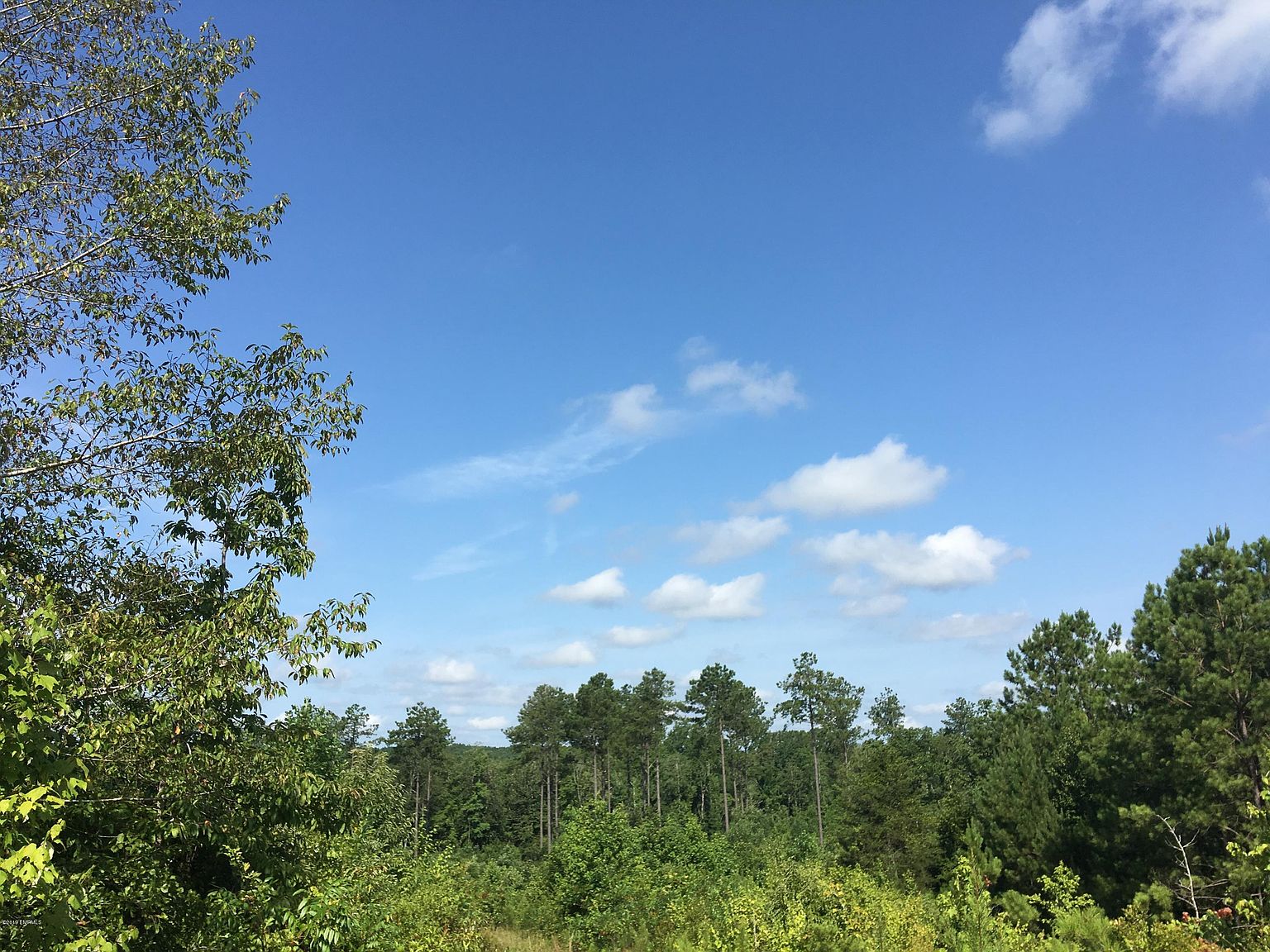 Causeyville Rd, Meridian, MS 39301 MLS 19827 Zillow