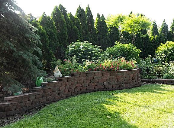 Backyard privacy landscape 