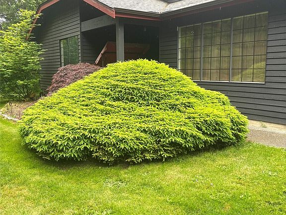 2nd image of 431 Fasola