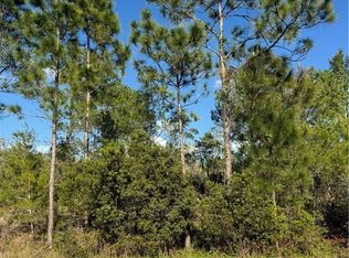 Galapagos Ave NE, Lake Placid, FL 33852
