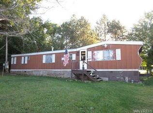 12595 Beebe Rd, Irving, NY 14081