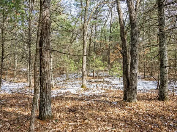 Lot 39 South Badger Lane #39, Arkdale, WI 54613