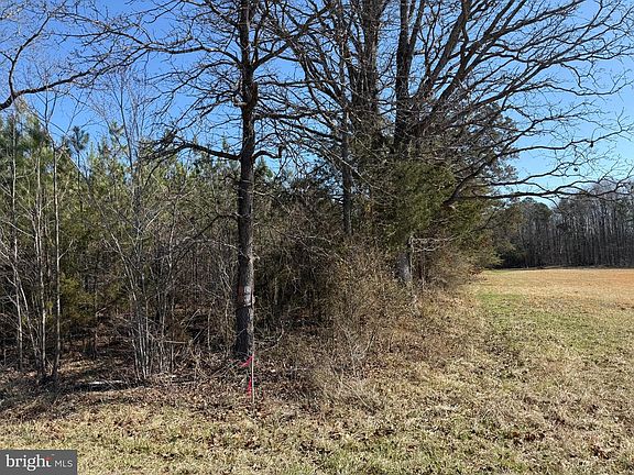 3rd image of 2B Sanders Creek Rd