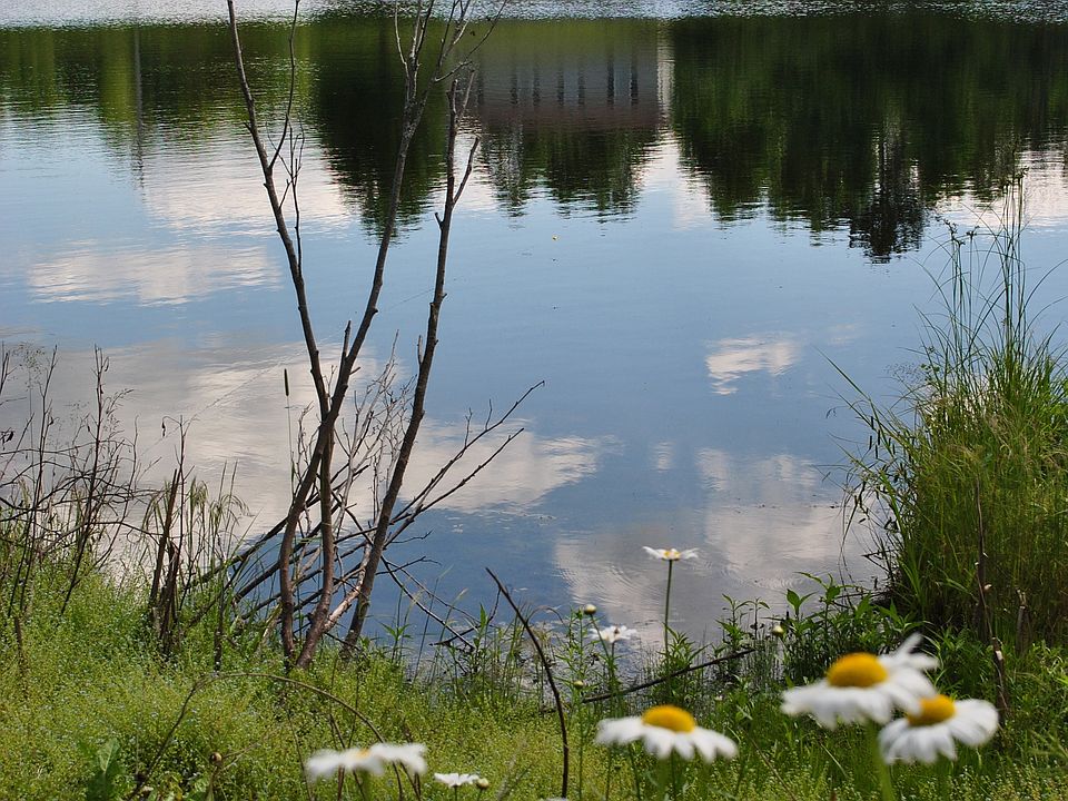 View of house from pond.