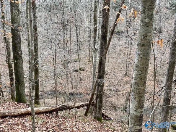 0 County Rd, Arley, AL 35541