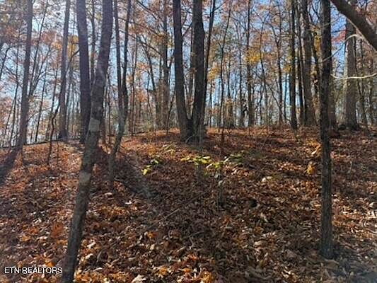 5th image of PARCEL 53-050.00 Obes Branch Rd